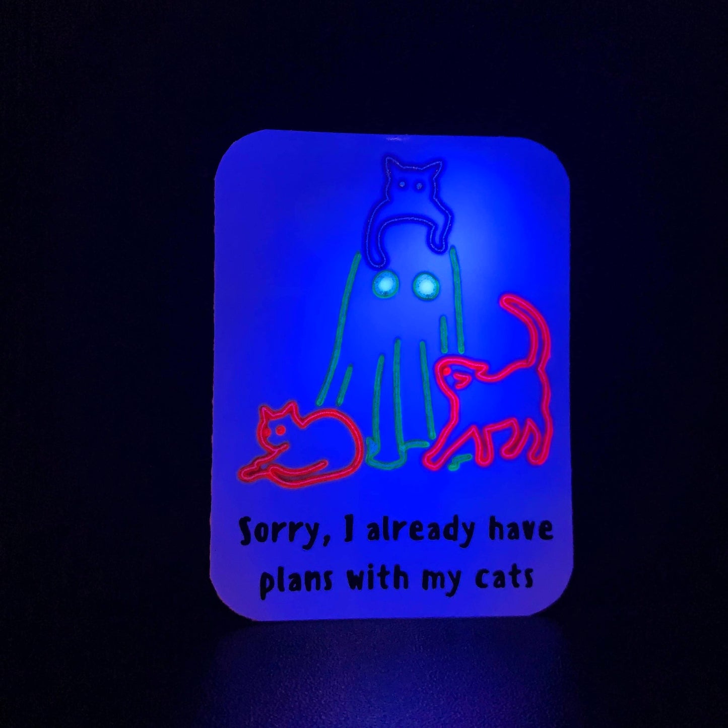 Sorry, I Already Have Plans With My Cats