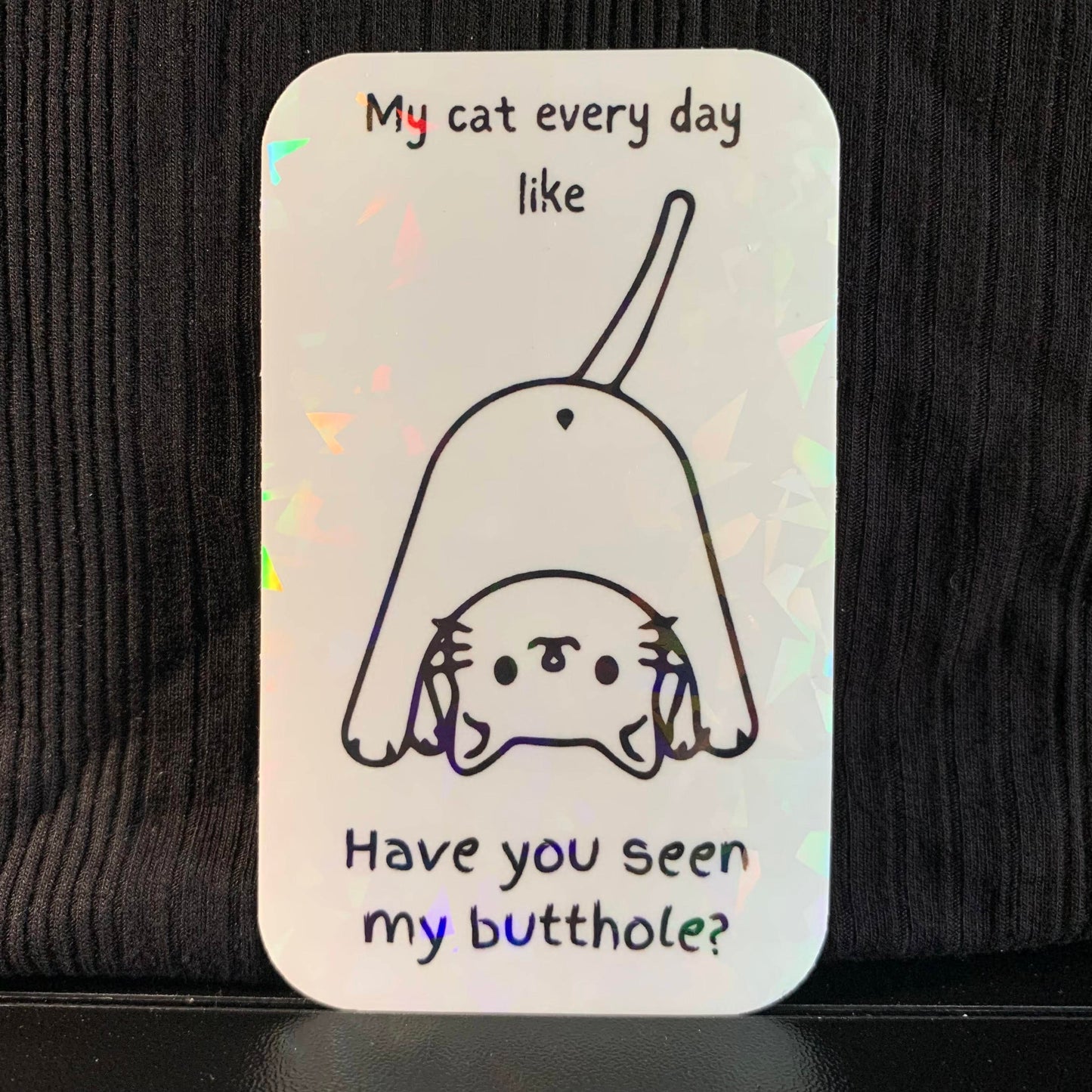 My Cat Every Day